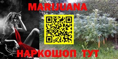 стаф Бузулук