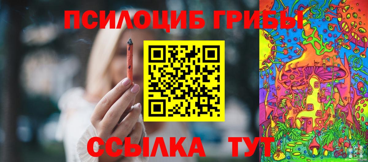Псилоцибиновые грибы MAGIC MUSHROOMS  Вход с VPN  Строитель 
