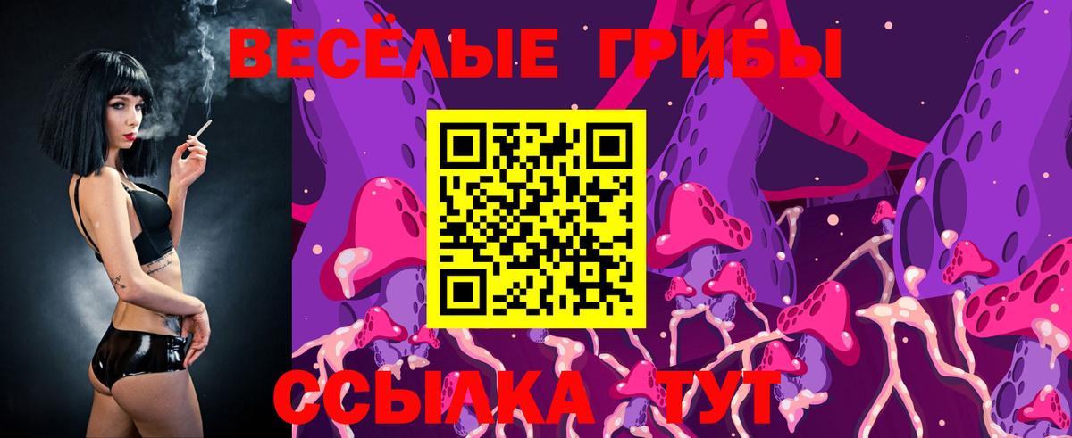 Псилоцибиновые грибы мухоморы Строитель
